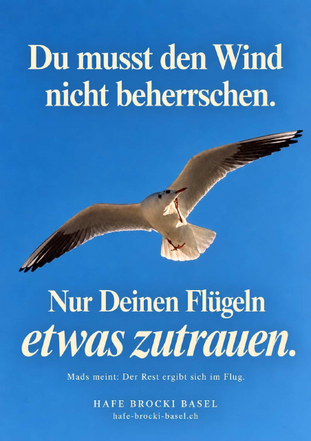 Möwe Mads: Du musst den Wind nicht beherrschen. Nur Deinen Flügeln etwas zutrauen.
